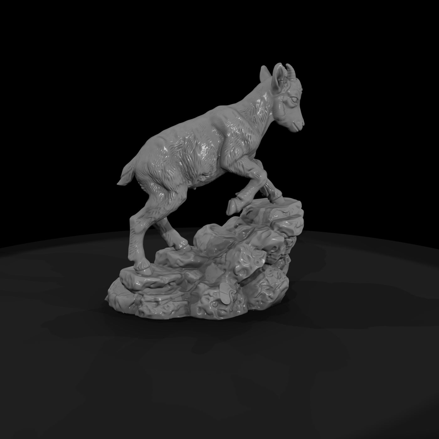 ant-279-alpine-ibex-adolescent