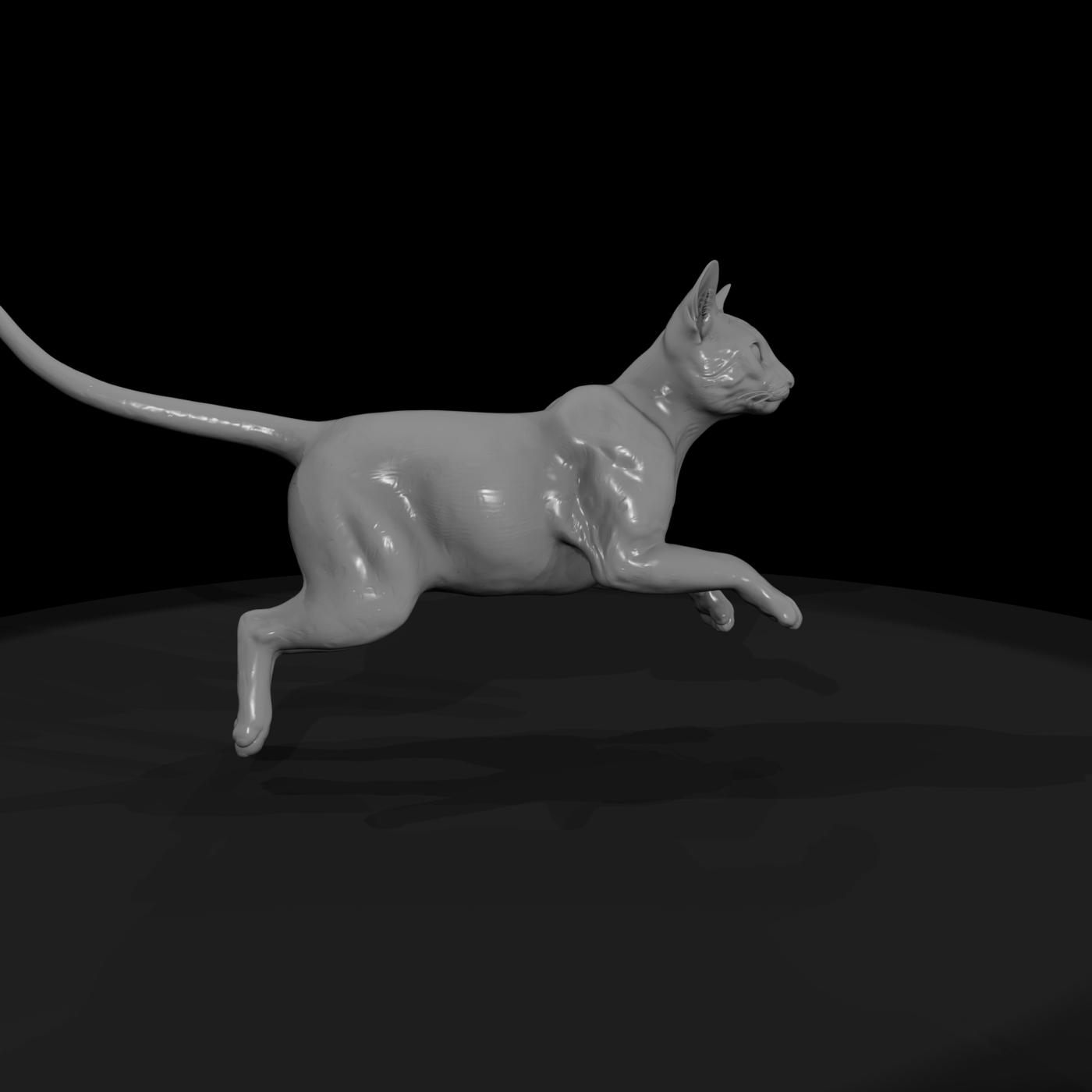 Egyptian Housecats Set