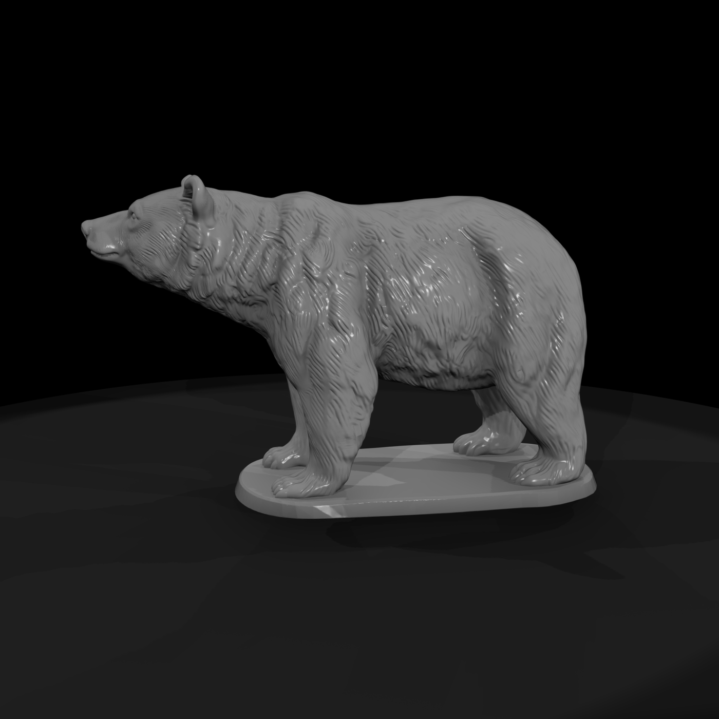 Ant 211 American Black Bear Male