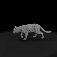 ww-0308-animal-barn-cat — thumbnail 4