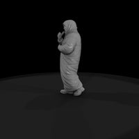 people-in-sleeping-bags-camper-5 — thumbnail 6