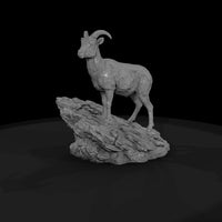 ant-056-bighorn-sheep-female — thumbnail 4