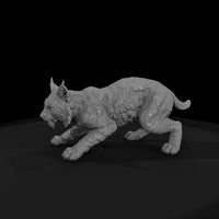 ww-0319-animal-bobcat — thumbnail 4