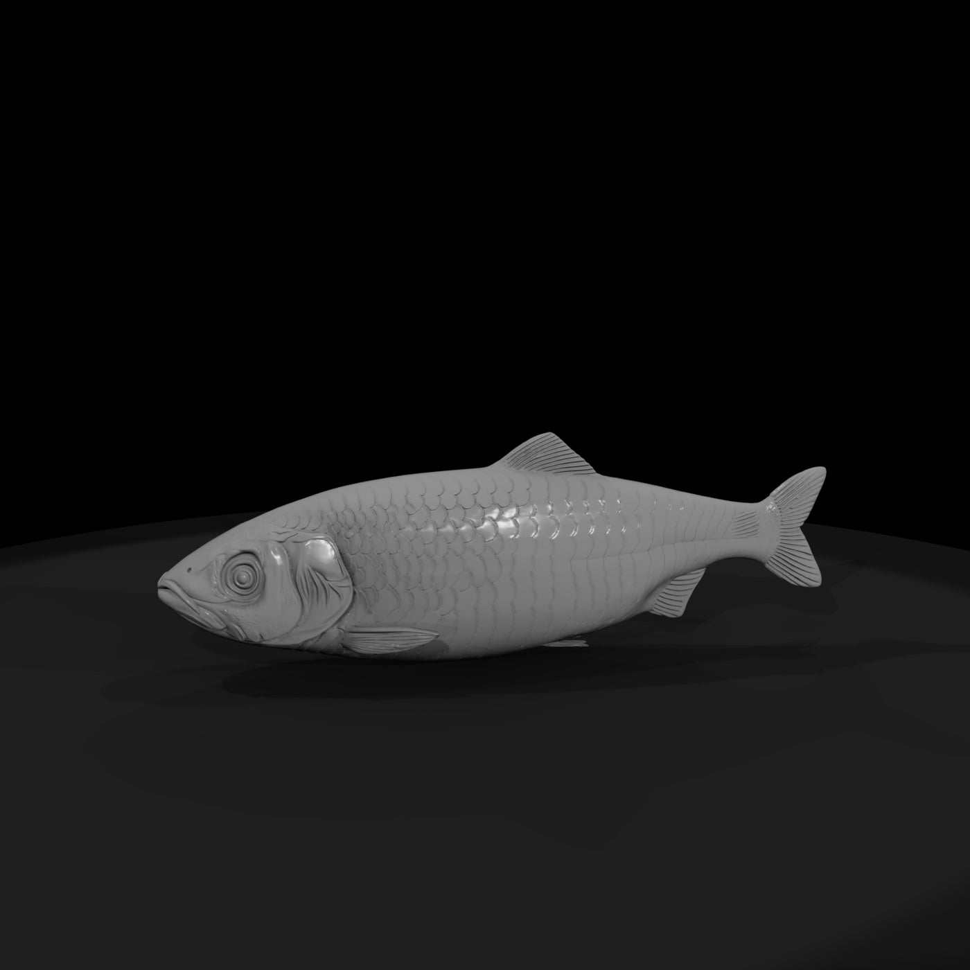 realistic-herring-fish-miniature-for-dioramas-displays-706325