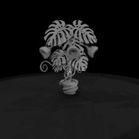 deadly-plants-monstera-devourer — thumbnail 6