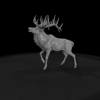 Male Elk — thumbnail 5
