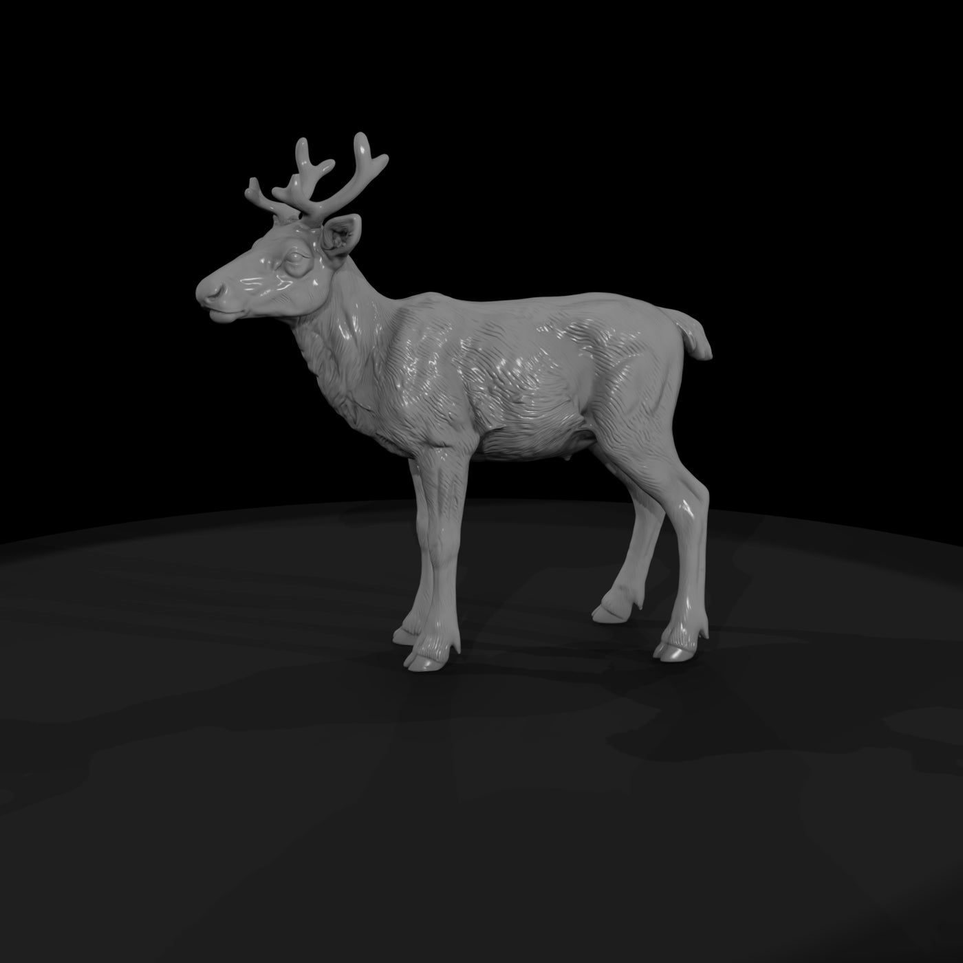 ant-063-caribou-adolescent