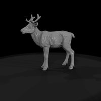 ant-063-caribou-adolescent — thumbnail 4