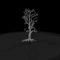 20260612-bare-tree-drawing-3f105c20f0 — thumbnail 4