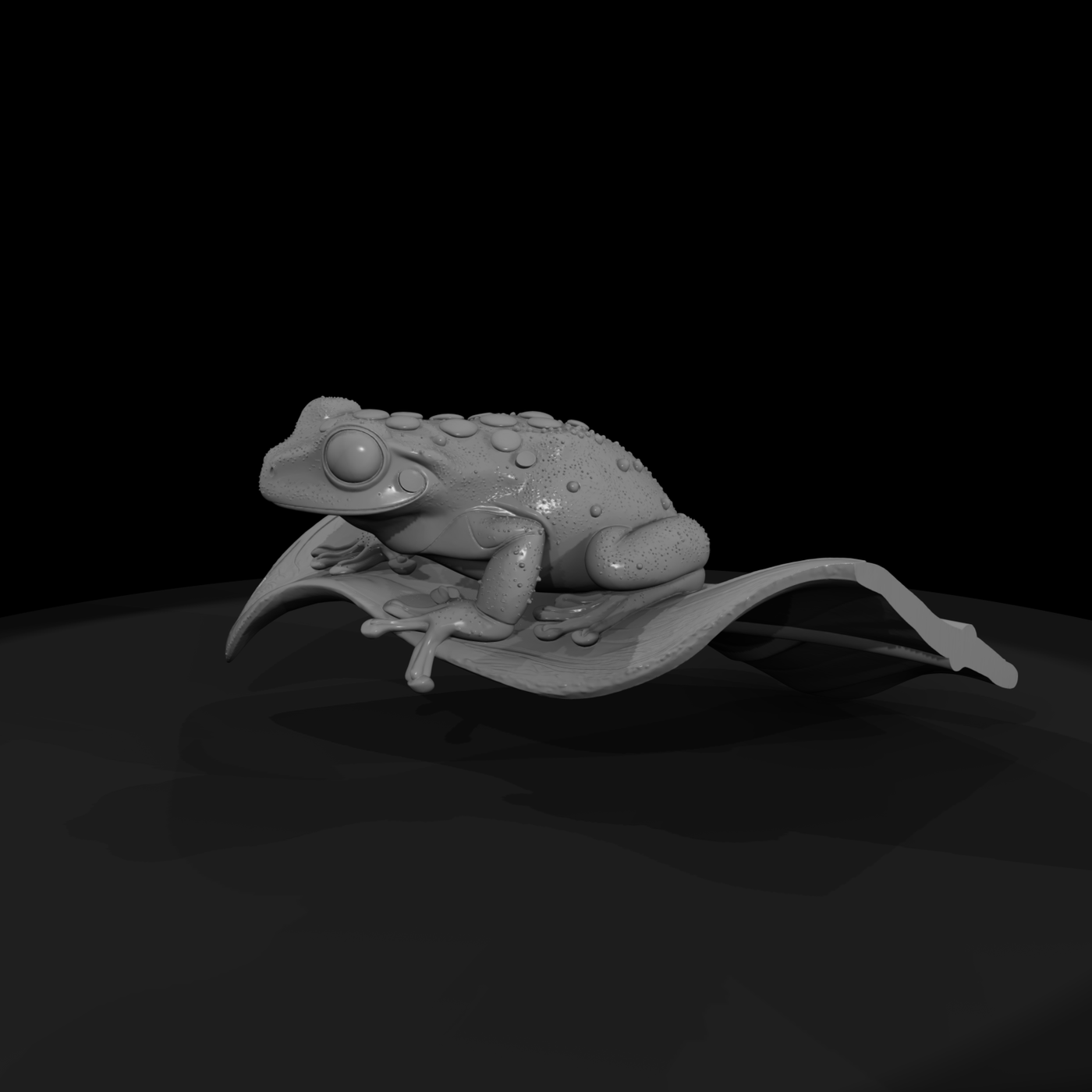Realistic Tree Frog on Leaf — & Display