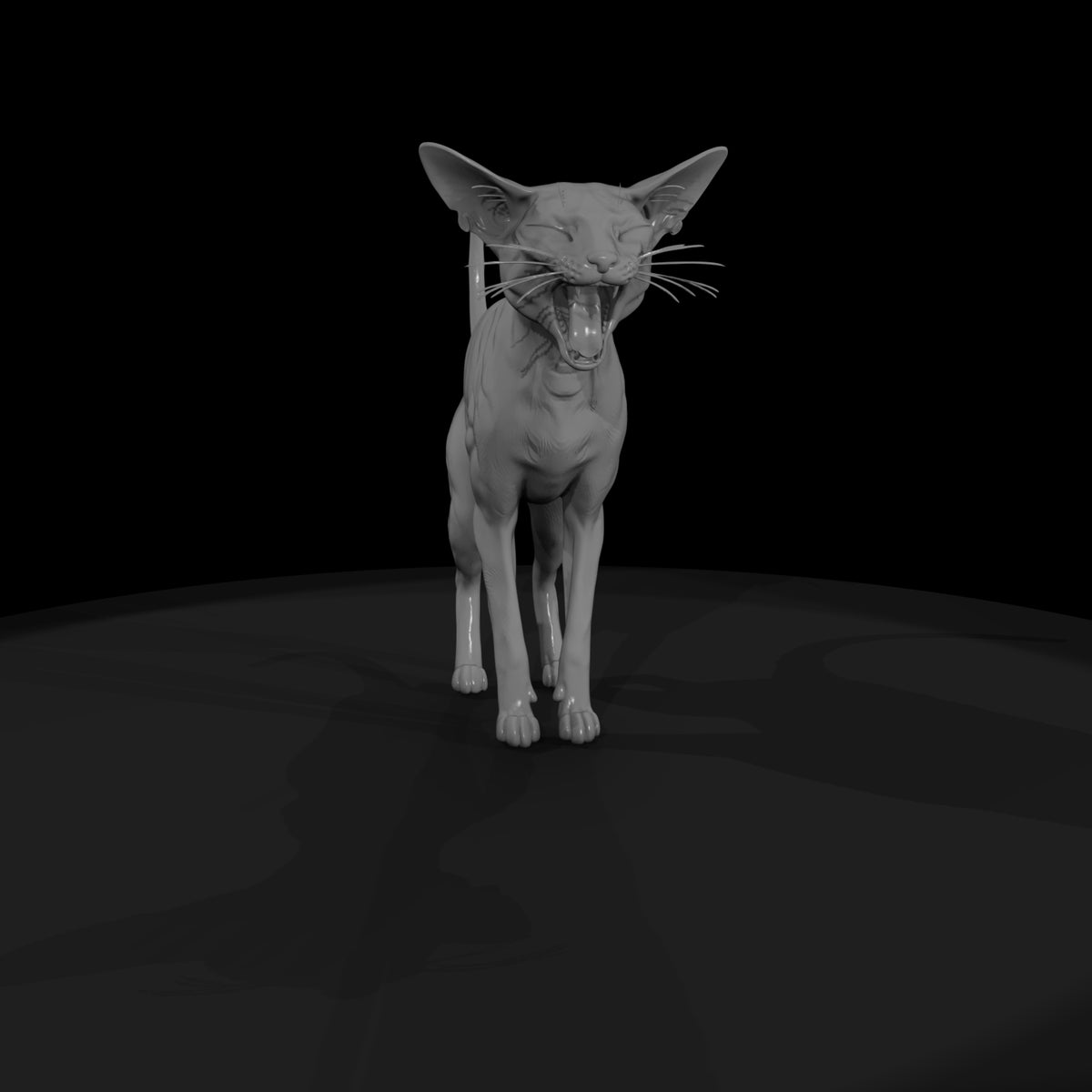 a-collection-of-housecats-oriental-5d71ca8c-meshre