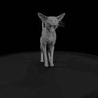 a-collection-of-housecats-oriental-5d71ca8c-meshre — thumbnail 4