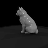 sitting_heterochromatic_white_cat_3d_model_xmjcc4u4 — thumbnail 4