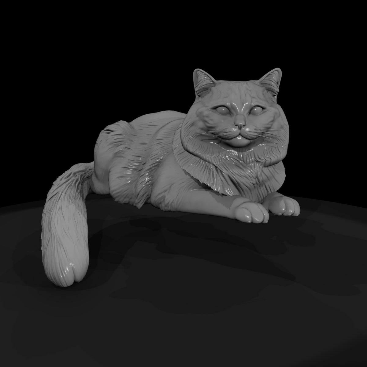 a-collection-of-housecats-himalayan-db334165-meshr