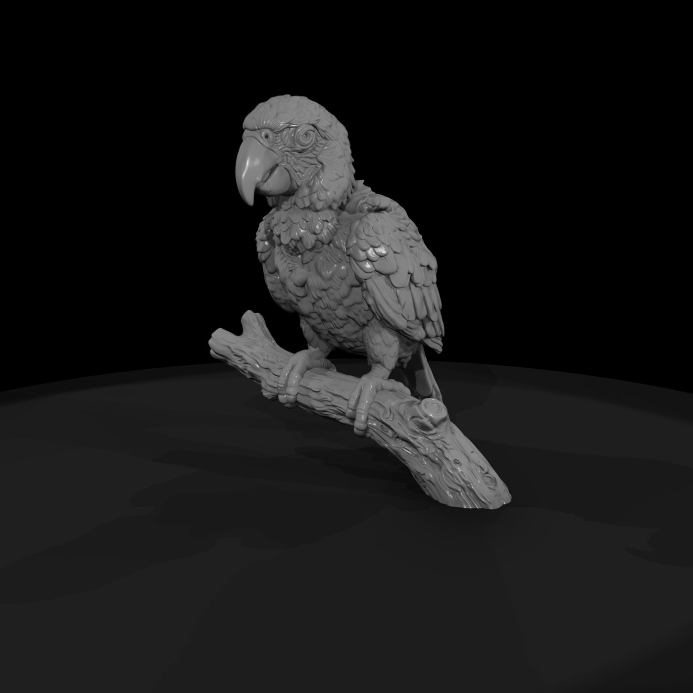 ant-285-scarlet-macaw-adolescent