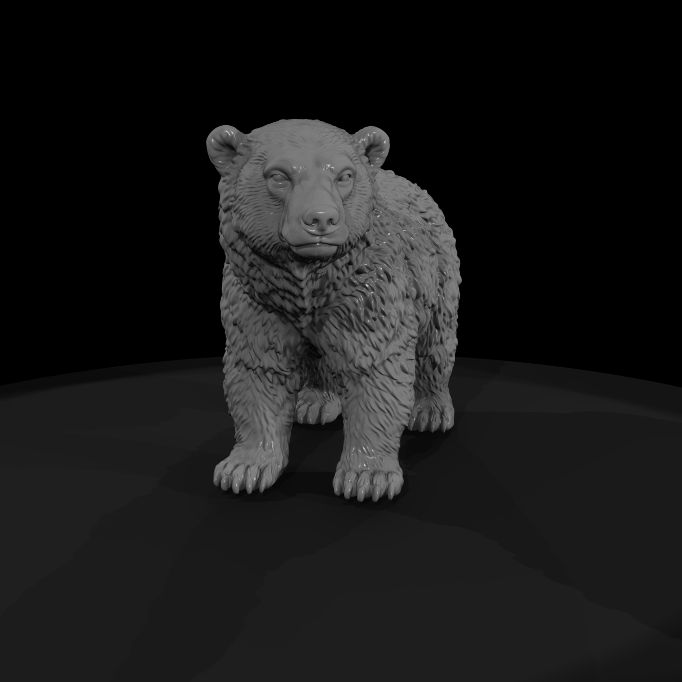 Young Polar Bear Standing