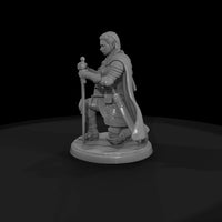 fadv-18-half-elf-paladin-6b5dc5 — thumbnail 4