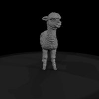 ant-222-alpaca-adolescent — thumbnail 4