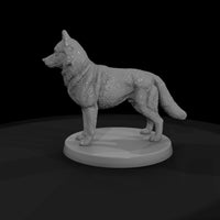 anim-06-siberian-husky-3ba202 — thumbnail 5