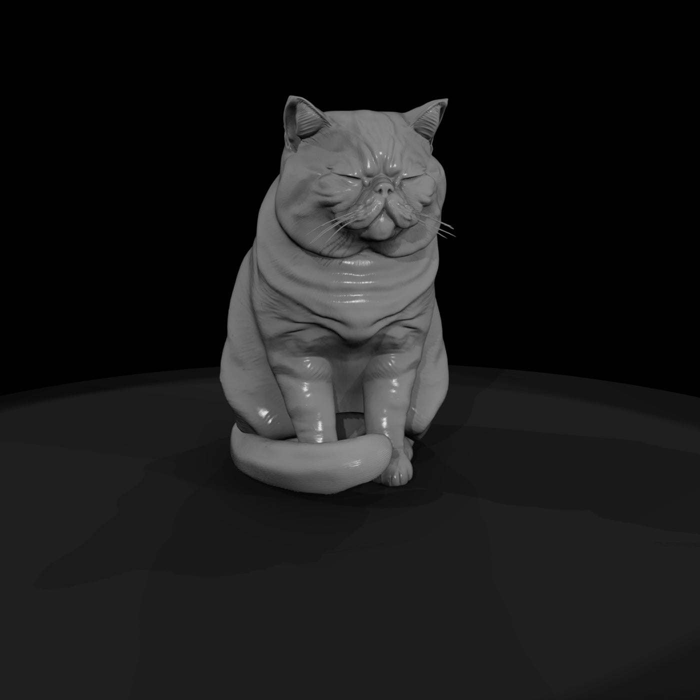 a-collection-of-housecats-exotic-b24ed562-meshref
