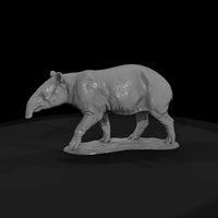 ant-254-malayan-tapir-female — thumbnail 4