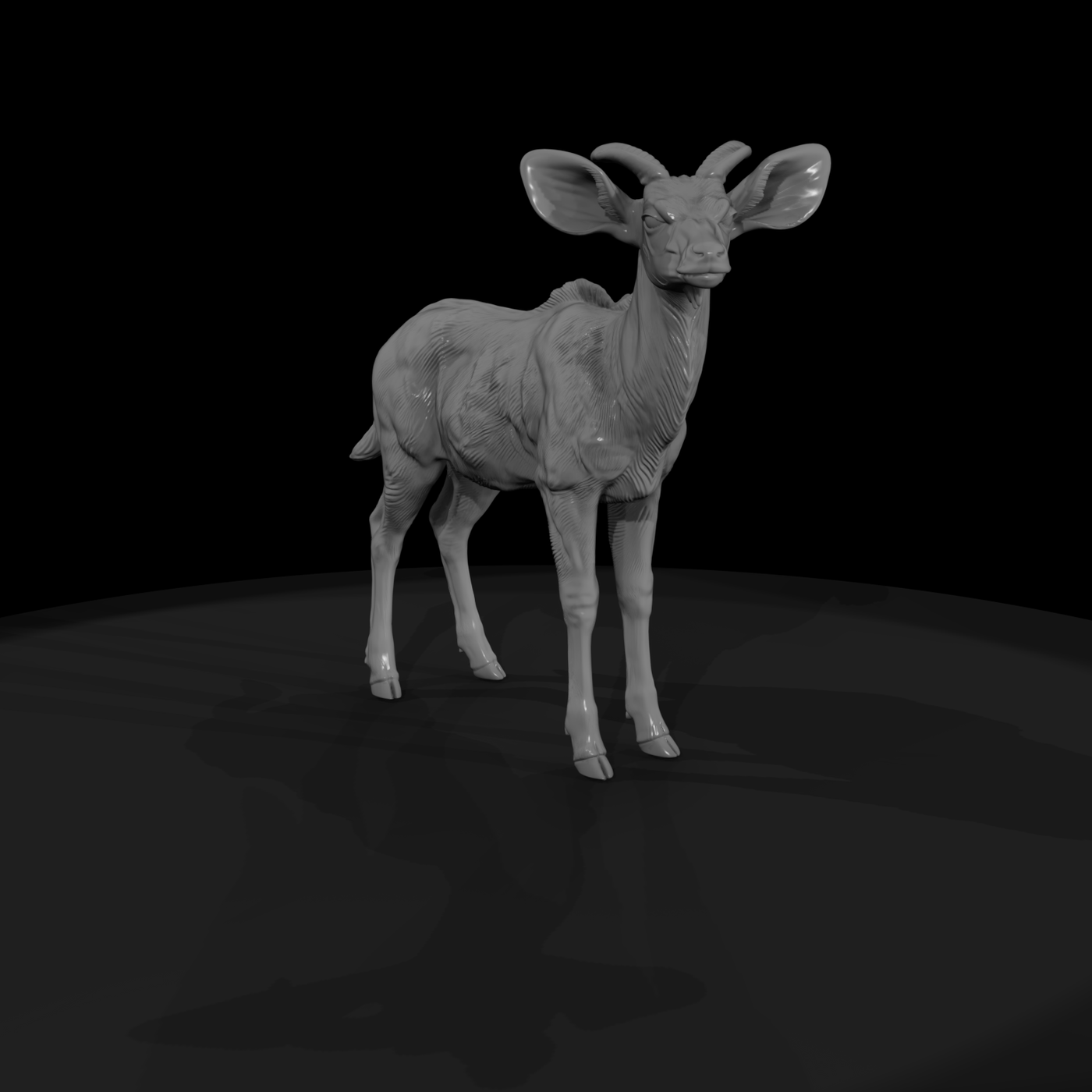 Young Greater Kudu