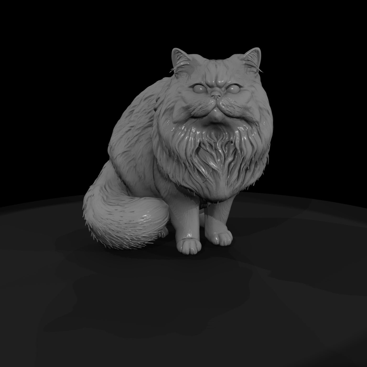 a-collection-of-housecats-persian-d66555ba-meshref