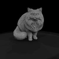 a-collection-of-housecats-persian-d66555ba-meshref — thumbnail 4