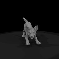 ant-168-african-wild-dog-adolescent — thumbnail 4