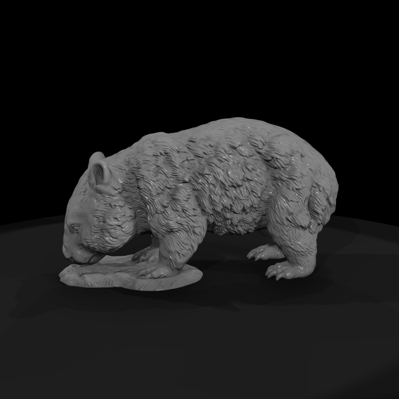 Ant 269 Common Wombat Female