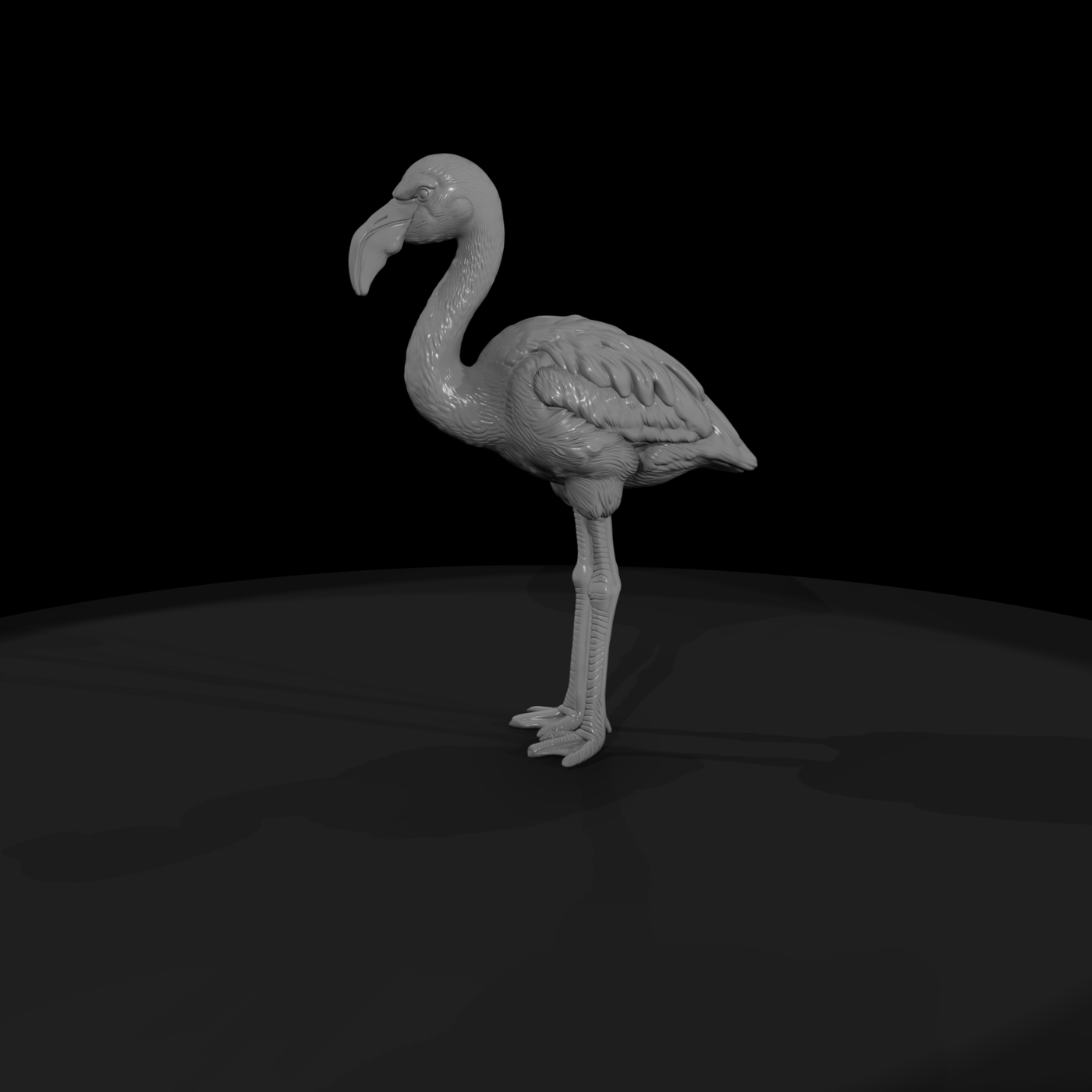 Greater Flamingo Wading Bird