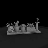 stylized-indoor-potted-plant-shelf-miniature-3d-printable-set-618782 — thumbnail 5
