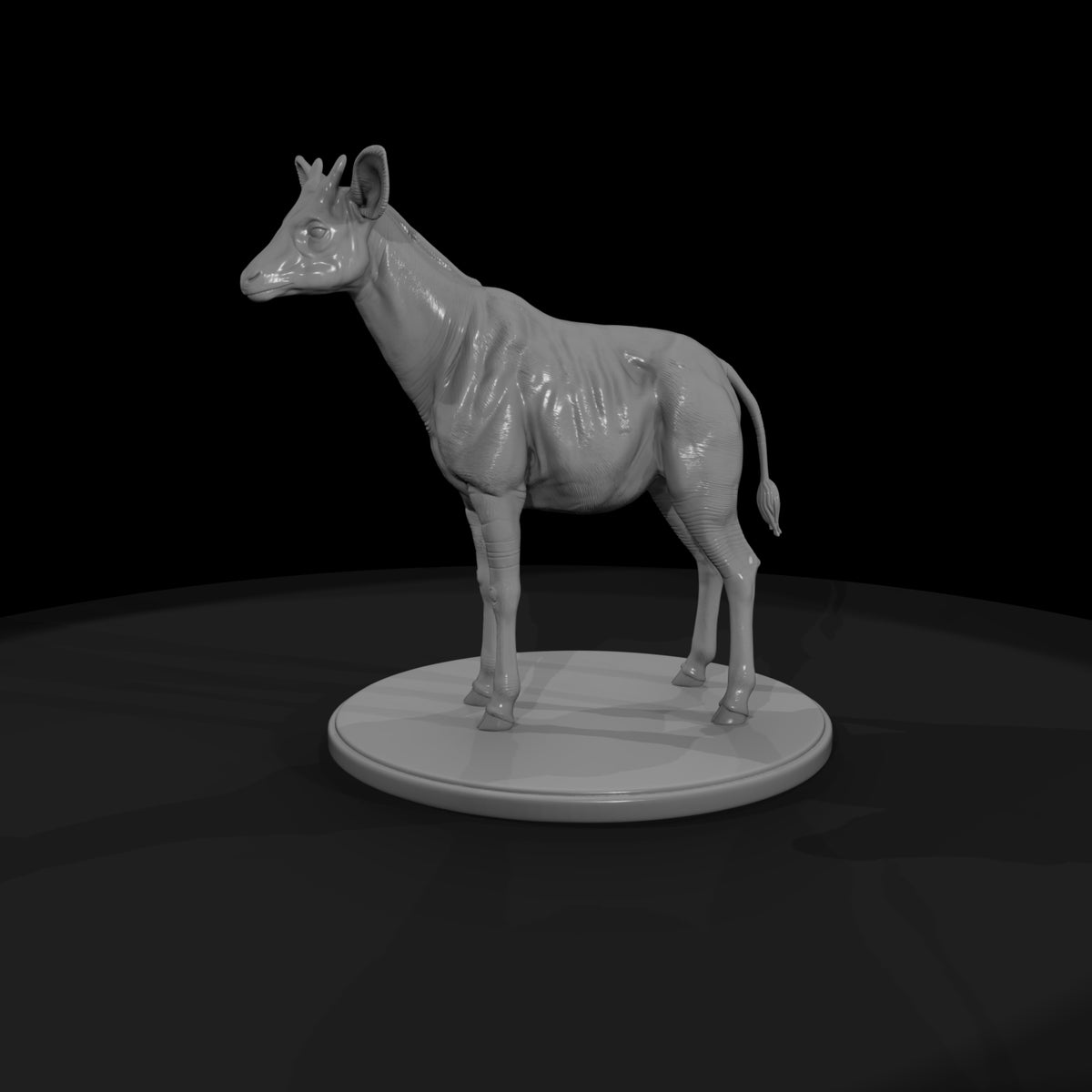 ant-250-okapi-male