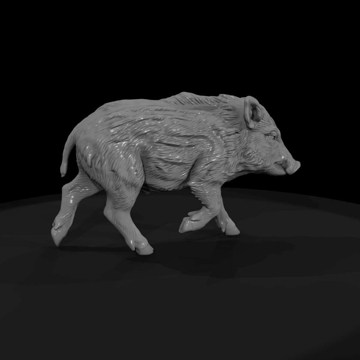 ant-075-wild-boar-adolescent
