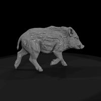 ant-075-wild-boar-adolescent — thumbnail 4