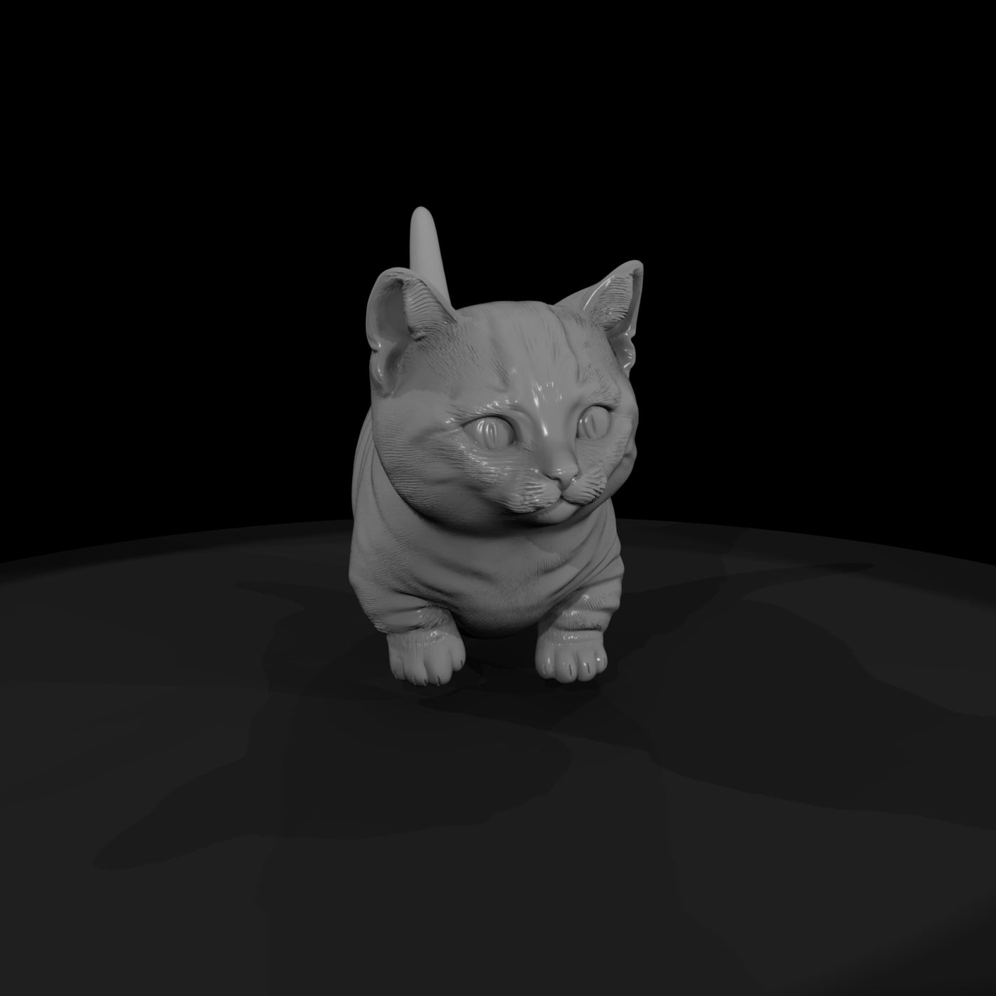 a-collection-of-housecats-munchkin-e876df2e-meshre