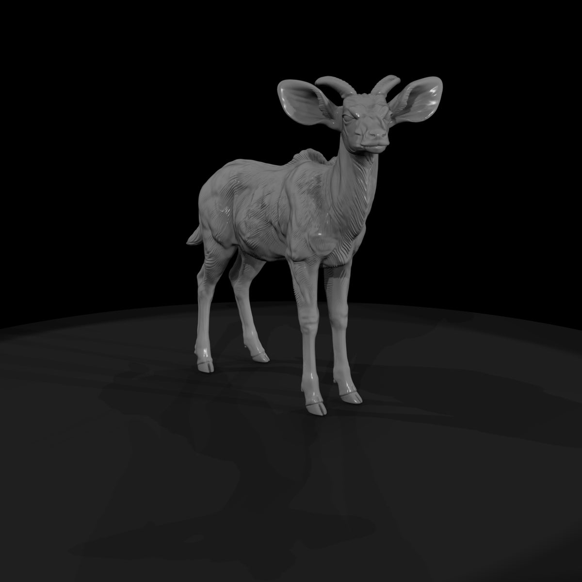 ant-069-greater-kudu-adolescent