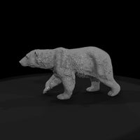ant-209-polar-bear-female — thumbnail 4