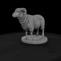 anim-20-sheep-666c93 — thumbnail 4