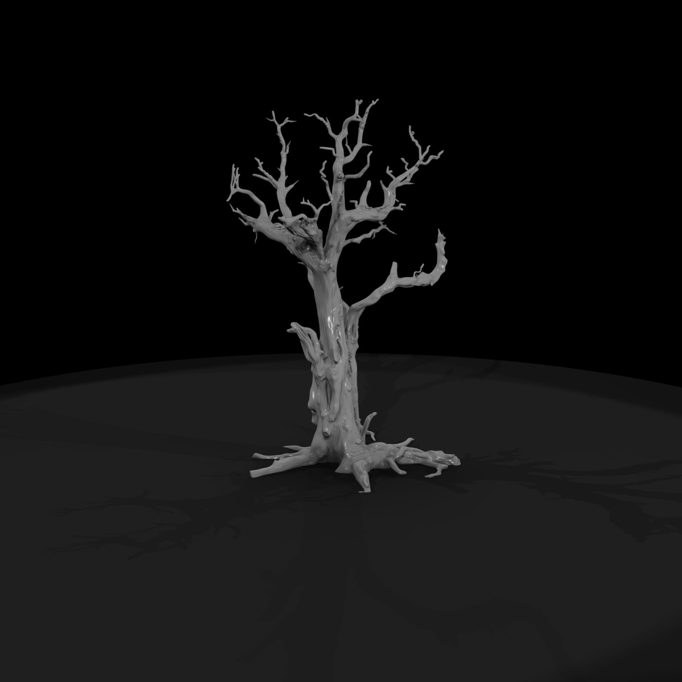 20260612-gnarled-dead-tree-0a1498bdad