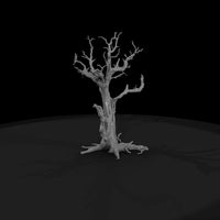 20260612-gnarled-dead-tree-0a1498bdad — thumbnail 4