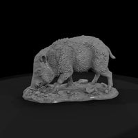 ww-0321-animal-javelina — thumbnail 4