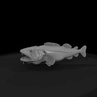 fanged-fish-diorama-sculpture-426223 — thumbnail 5