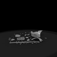 debris — thumbnail 5