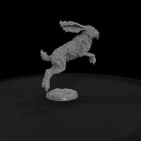 ww-0273-myth-giant-jackrabbit — thumbnail 4
