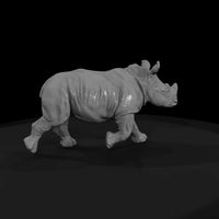ant-033-white-rhinoceros-adolescent — thumbnail 4