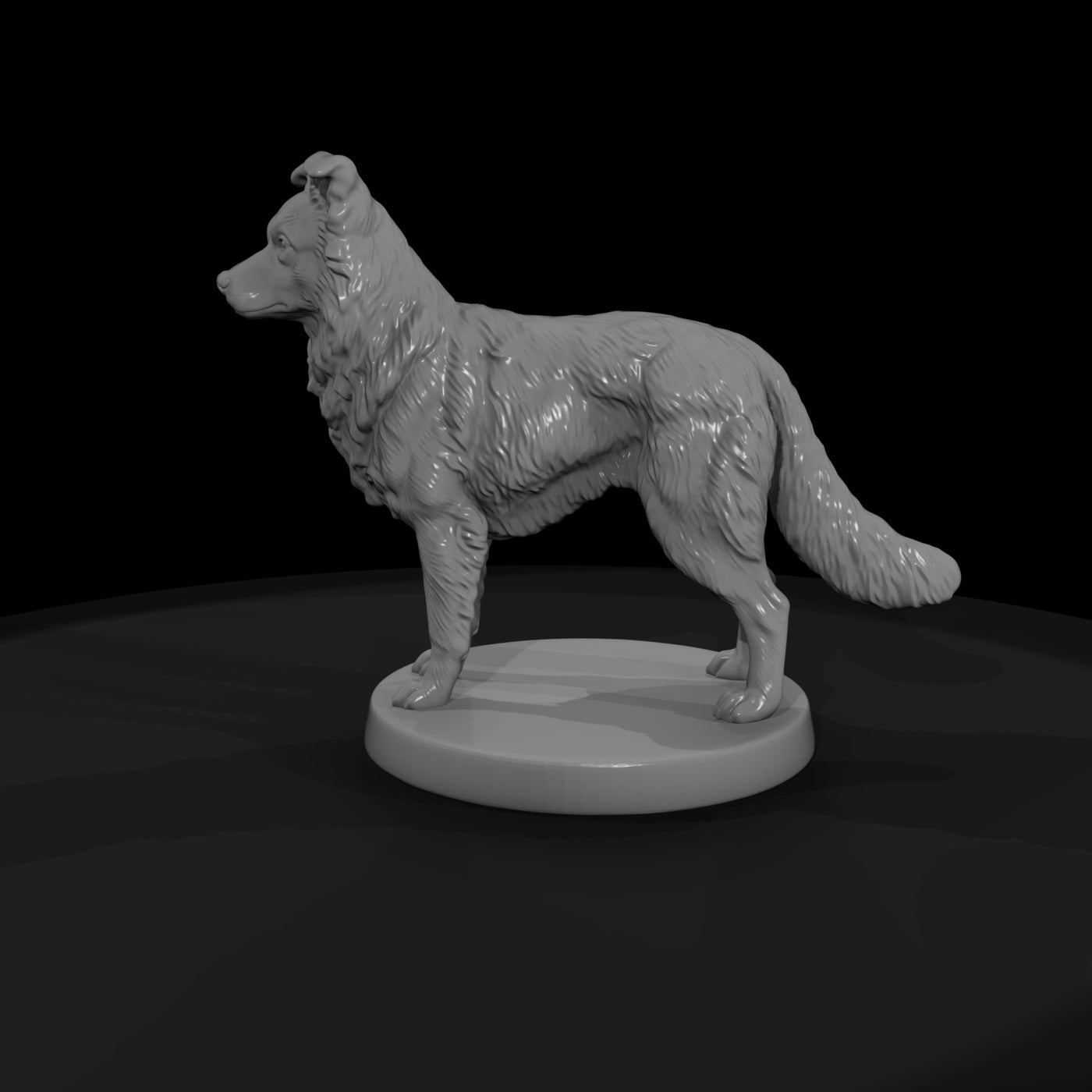 anim-11-border-collie-0762c7
