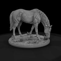 ww-0290-animal-grazing-mare — thumbnail 4