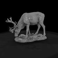 ant-062-caribou-female — thumbnail 4