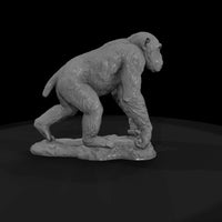 ant-193-chimpanzee-male — thumbnail 4
